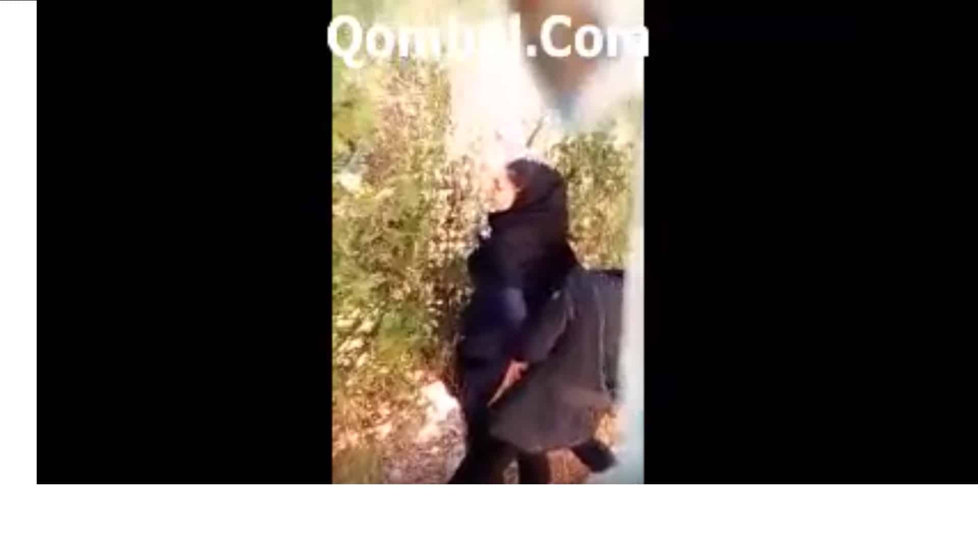 داف ایرانی. 