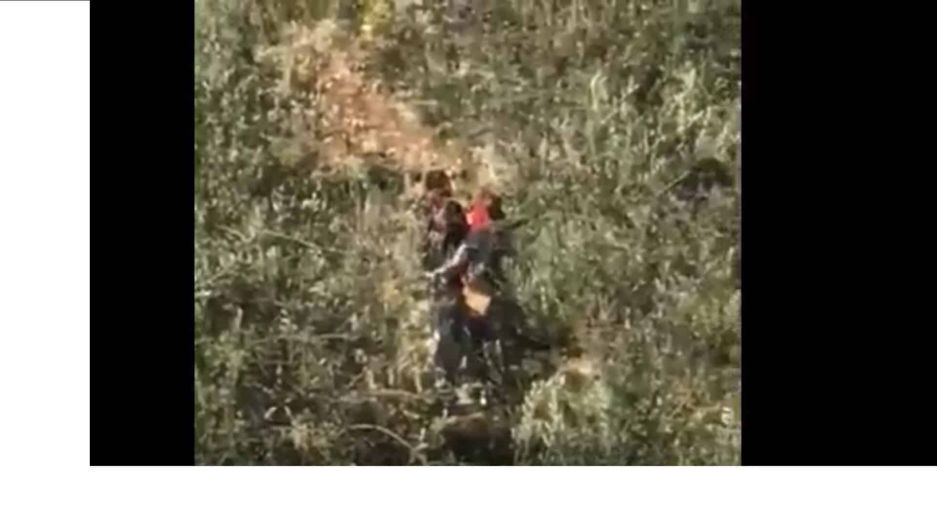Xnxxایرانی زوری