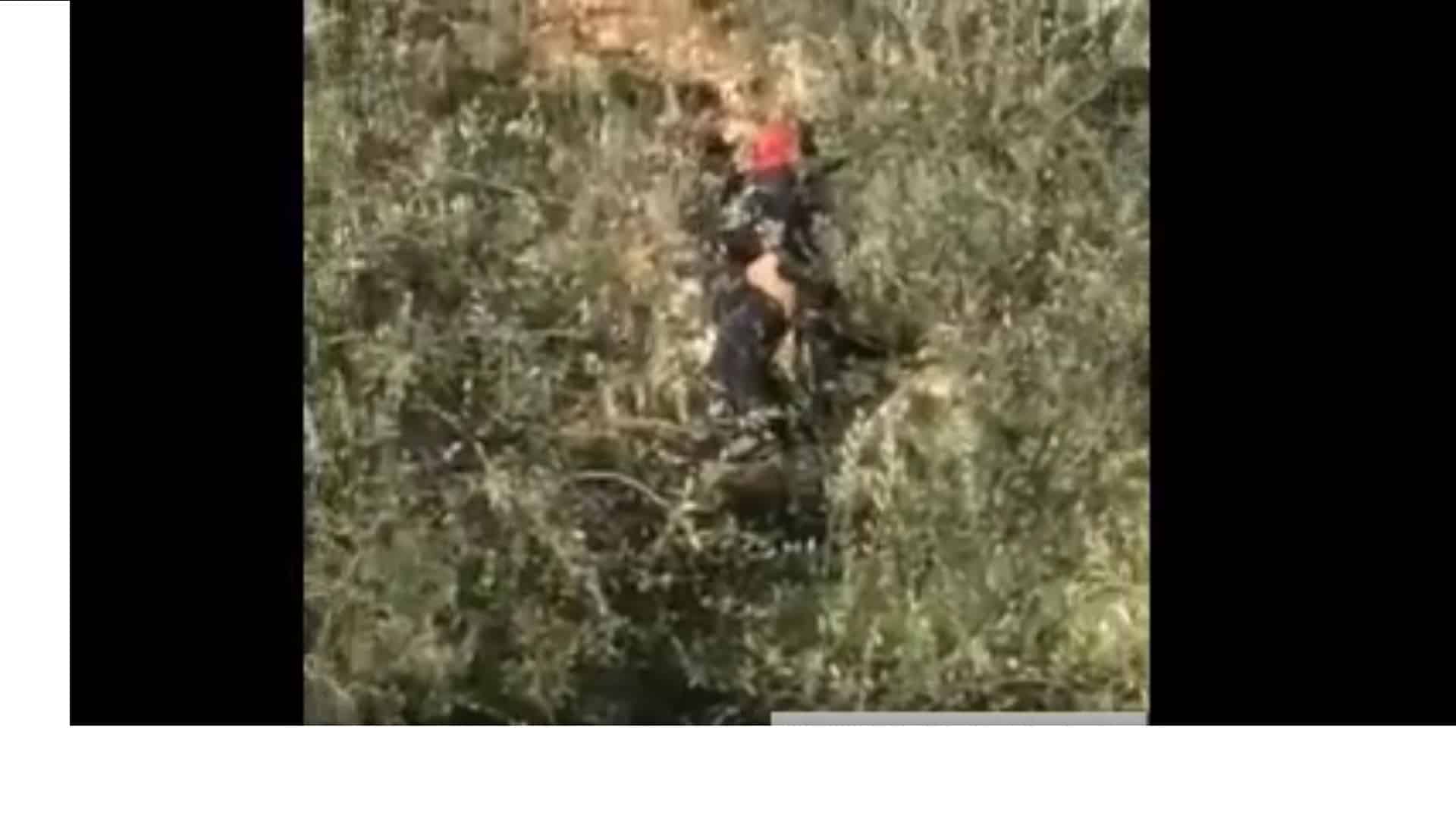 سکس زوری در جنگل